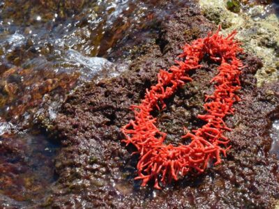 95350120-7aea-4d67-ae48-9433c894fb1e