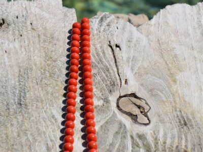 d68cc38c-744f-44fd-9f1a-6bca306fbef9