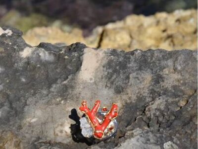 ec423607-fa0a-479a-af4b-850541f191d1