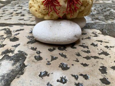 f079b1df-47e0-4a35-8cfa-a3aa8420ad4b